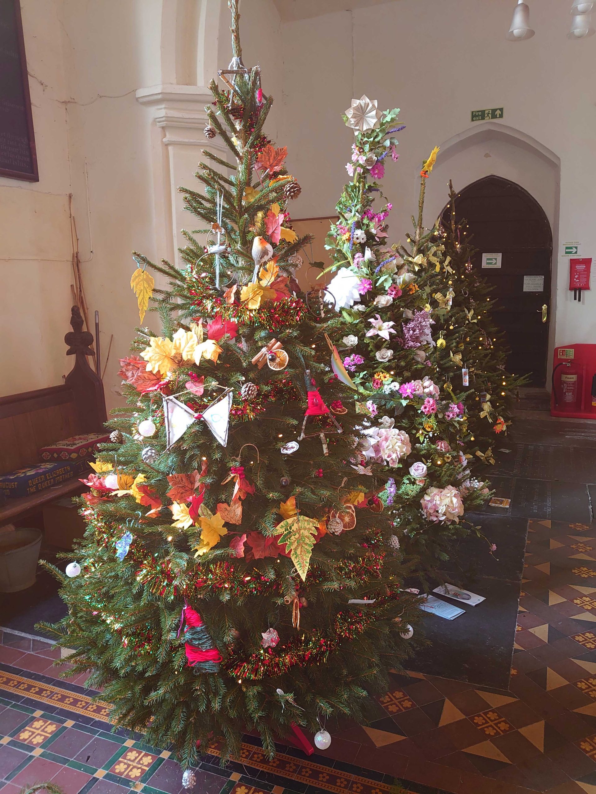 Christmas Tree Festival